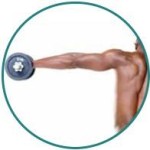 testosterone boosting exercise